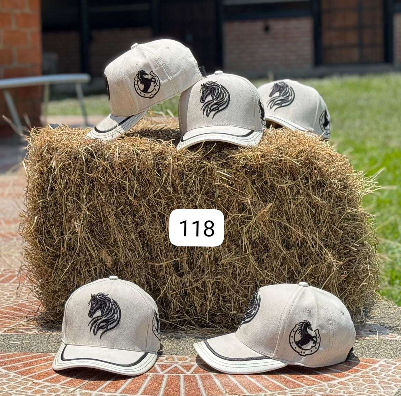 Gorras Equinas Coleccion 31-03